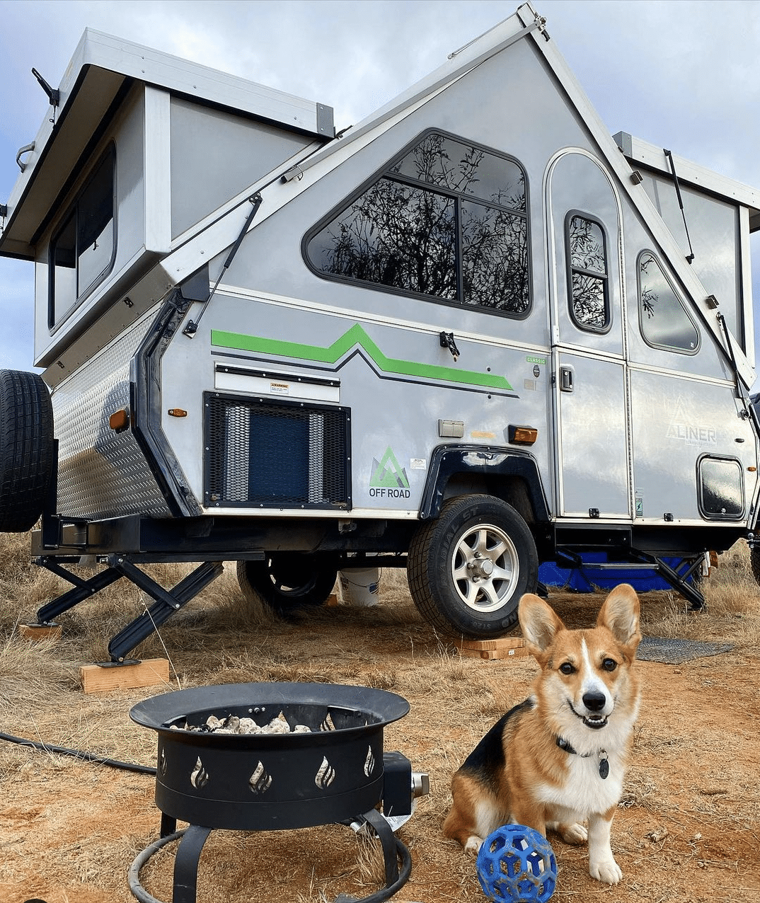 A dog sitting in the grass next to an rv.
