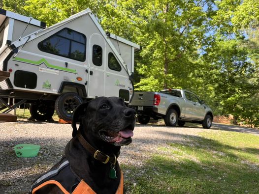 A dog sitting in front of a truck and camper.