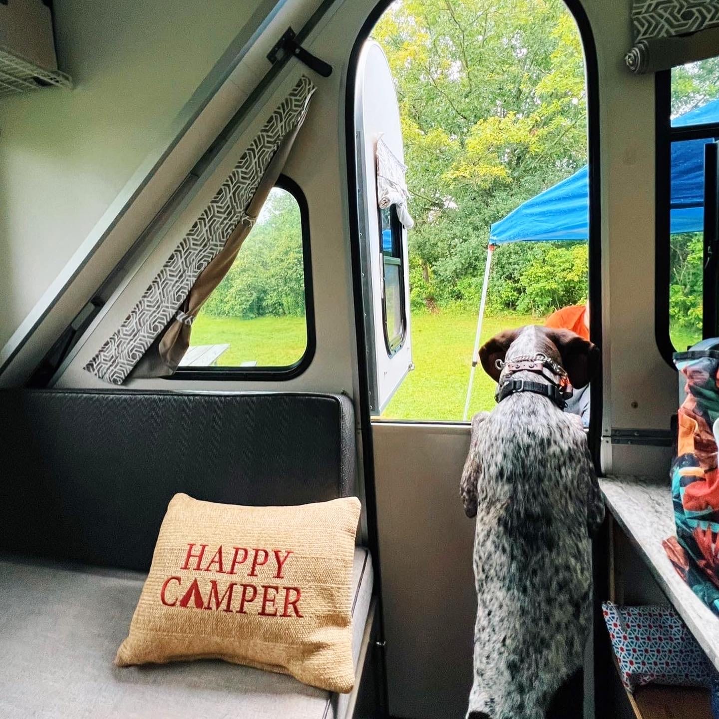 A dog sitting on the back of a camper.