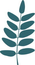 Illustration of a stylized blue leaf with multiple leaflets on a green background.