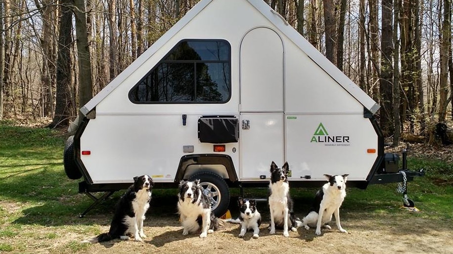 Four dog-friendly dogs standing in front of a camper trailer.